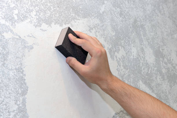 Best Real Estate Mold Inspection  in East Ithaca, NY