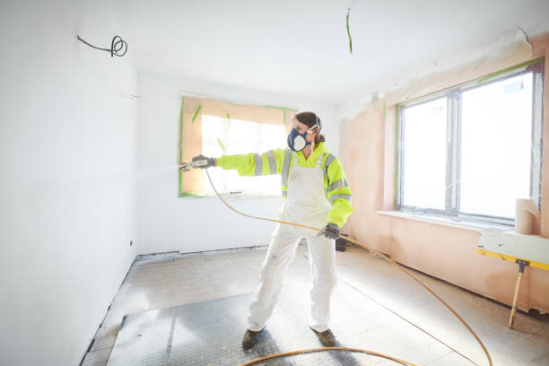 Mold Documentation for Insurance Claims in East Ithaca, NY