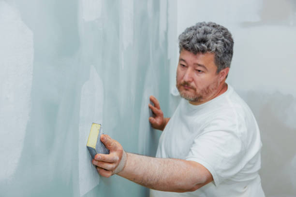 Mold Remediation for Vacation Homes in East Ithaca, NY